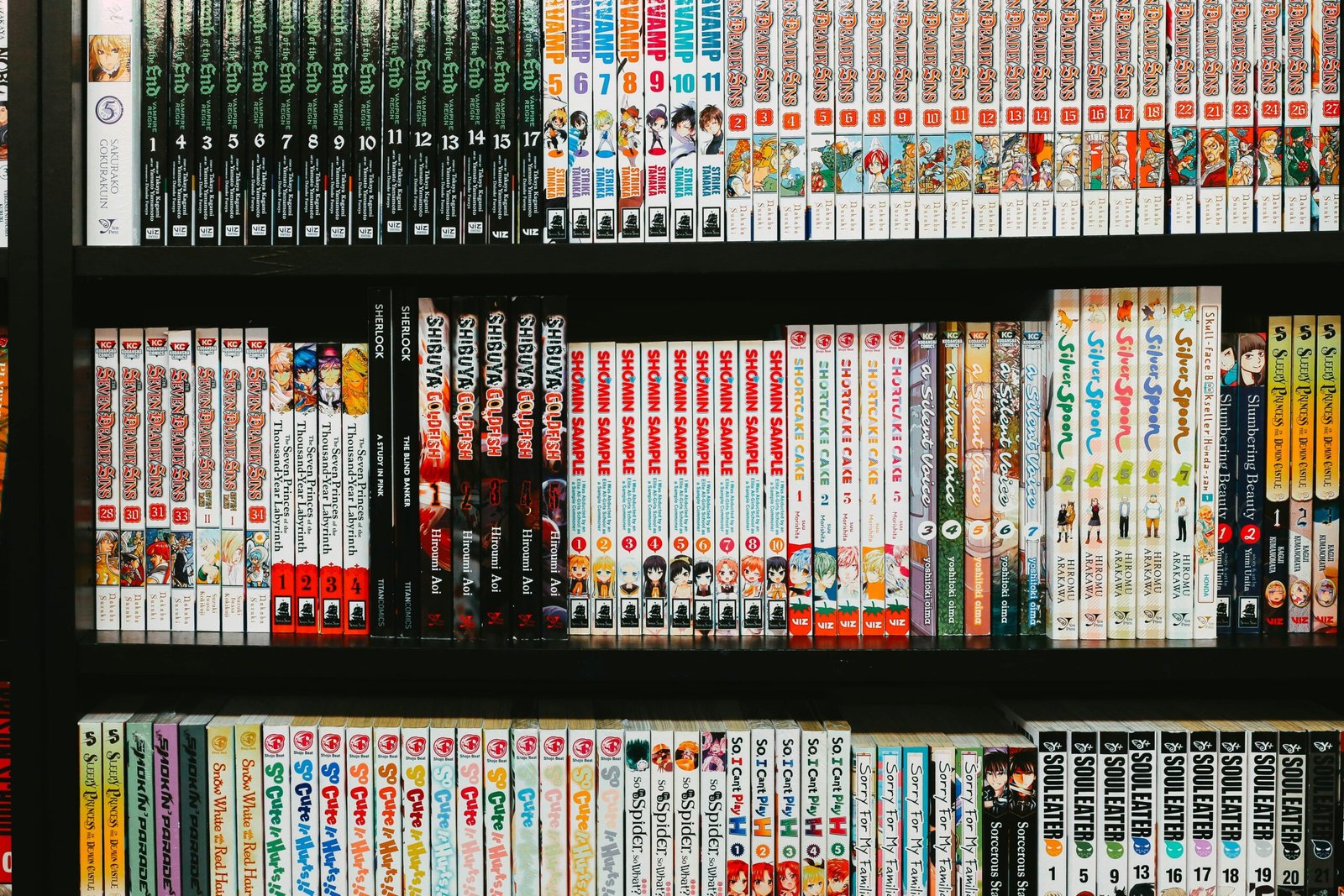TCBScans: Leading Fan-Translated Manga Source for Fast and Reliable Scanlations
