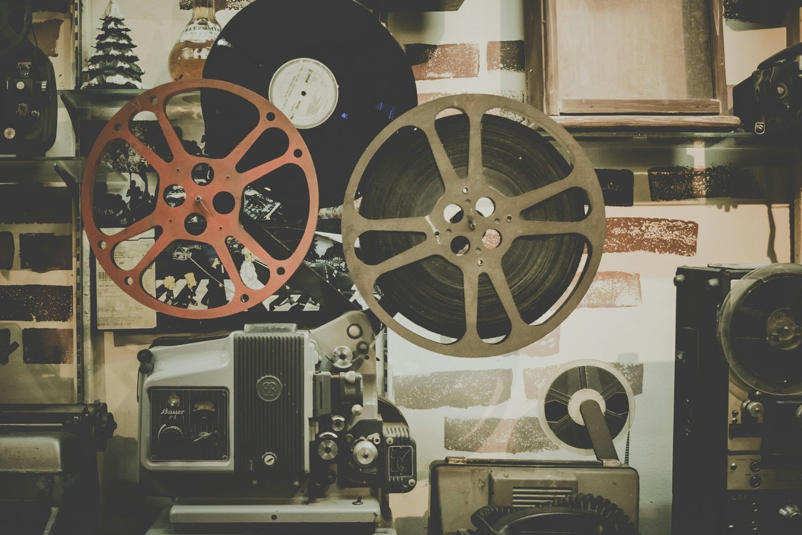 Sophia Stewart: Film and Television Works of a Versatile Talent