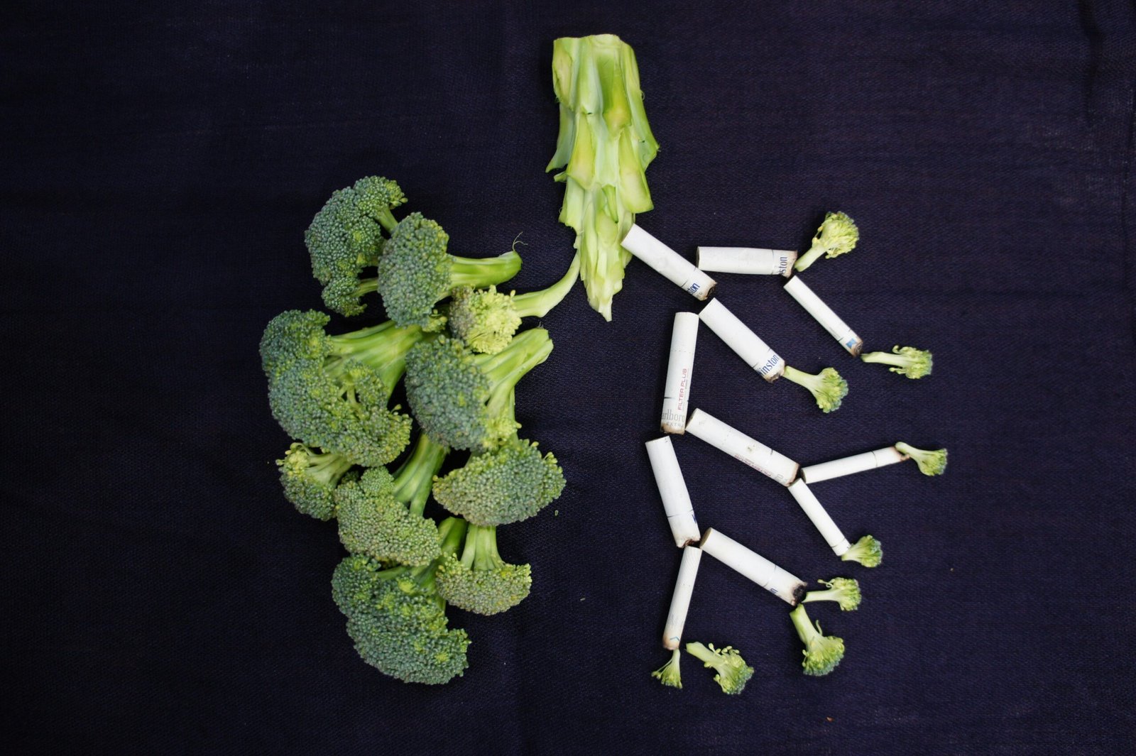 Crocolini: A Hybrid of Broccoli and Chinese Broccoli