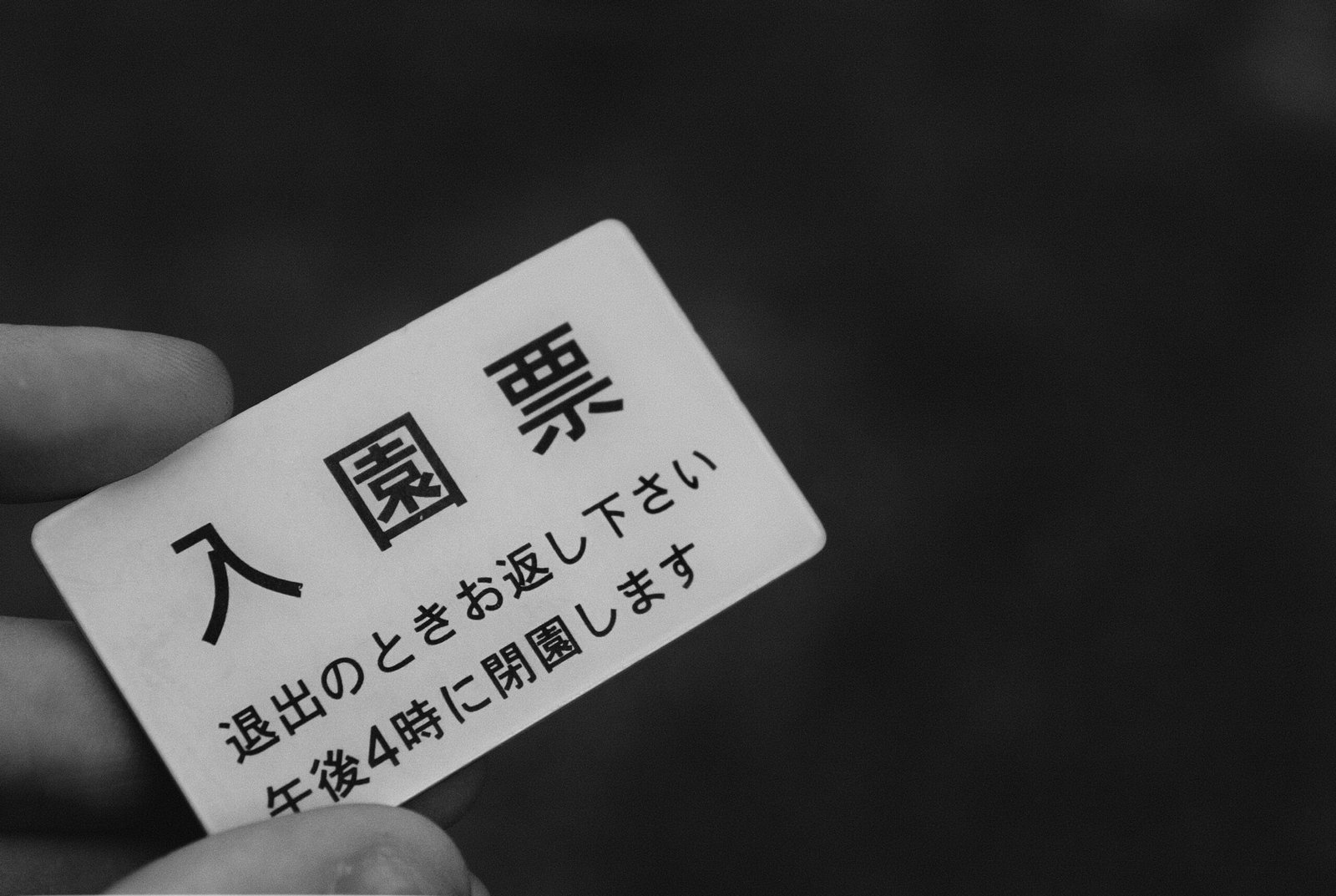 Porkbun Coupon: Save on Domains with Exclusive Discount Codes