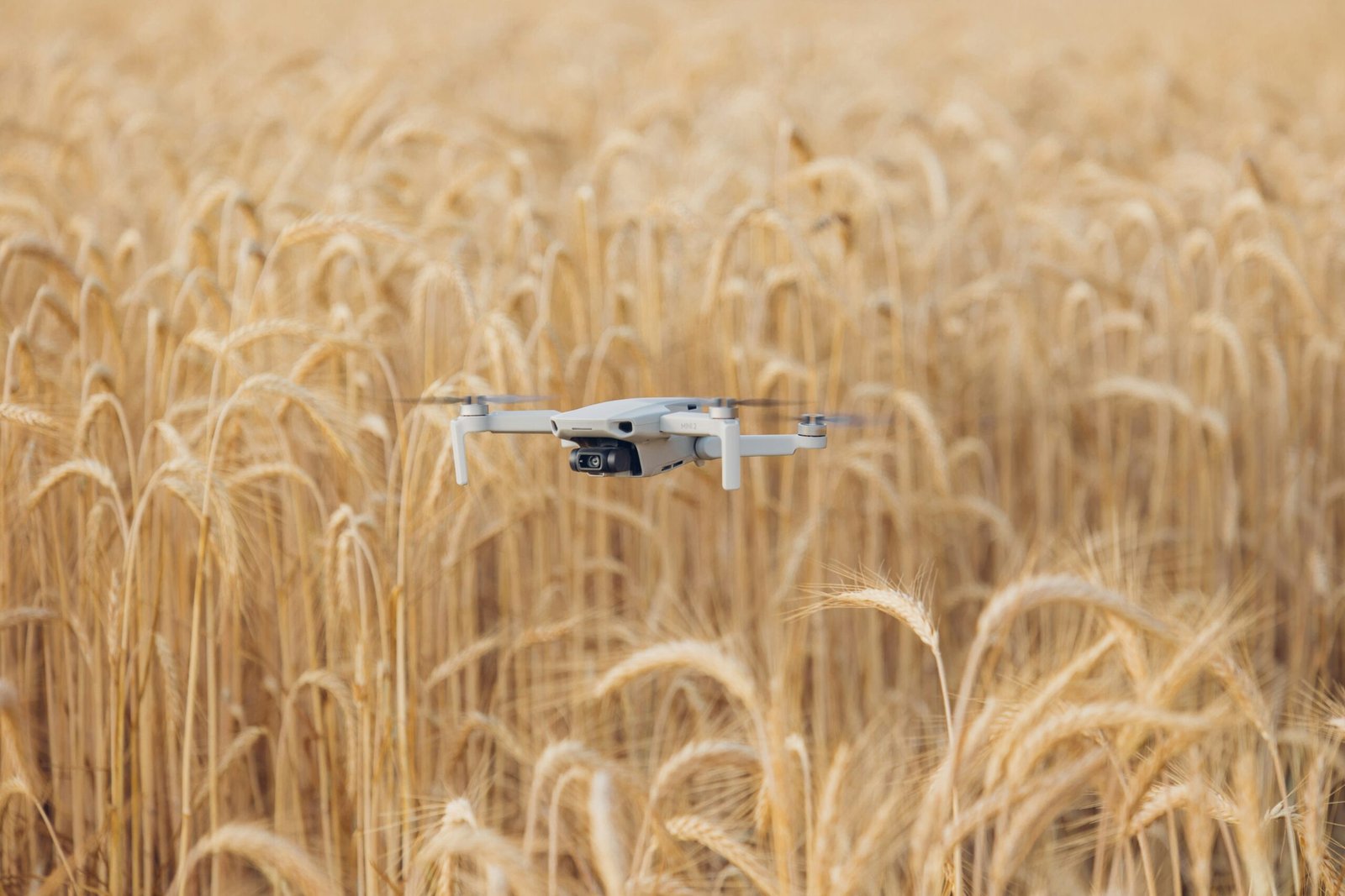 Precision Agriculture Robotics: Transforming Farming with Automation and AI