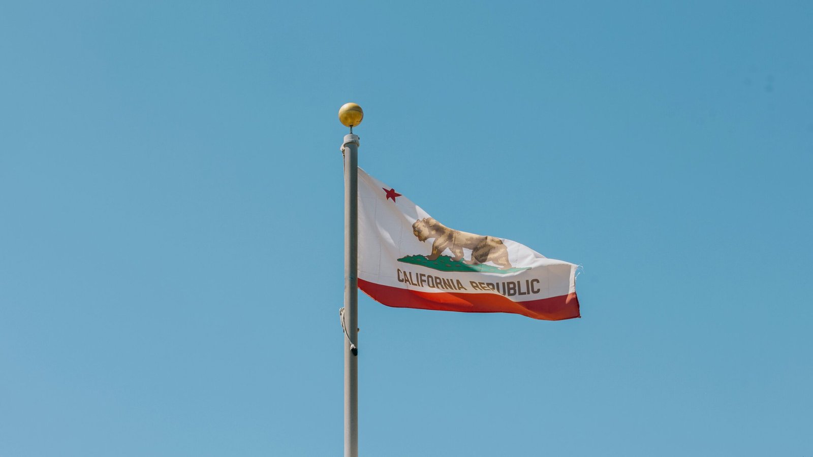 California Flag: History and Meaning Behind the Iconic Bear Flag Symbol